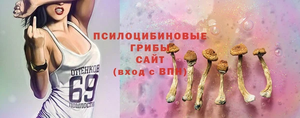 мдпв Приозерск