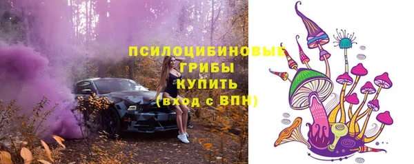 крисы Алексеевка