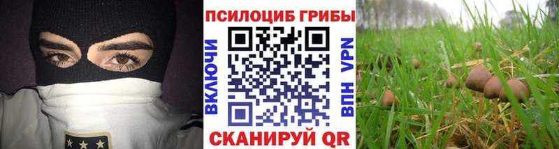 Галлюциногенные грибы GOLDEN TEACHER  kraken маркетплейс  Сим 