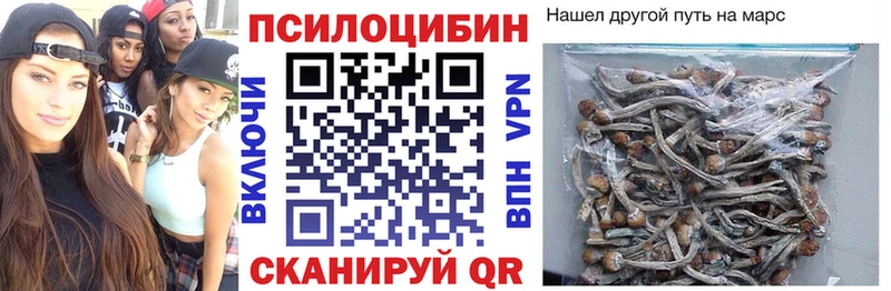 Псилоцибиновые грибы Cubensis Сим